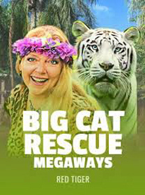 Panduan Bermain Big Cat Rescue Megaways banner